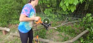 Read more about the article WORX JawSaw vs. DeWalt Chainsaw